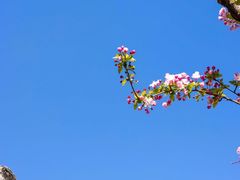 -北京颐和宾馆