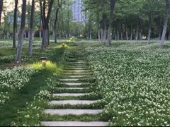-天鹅湖体育公园