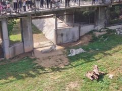 -石家庄市动物园