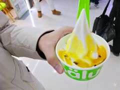 -Salud撒露欧洲冻酸奶(五道口购物中心店)