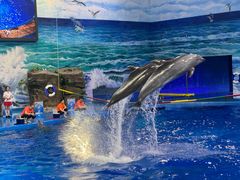 -多彩贵州城极地海洋世界