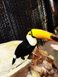 -Zoolung Zoolung动物主题公园(海信广场店)