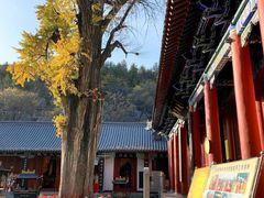 -青檀寺景区