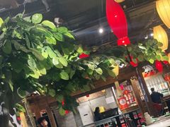 大堂-北平盛世·新京菜·北京烤鸭(劲松·双井店)