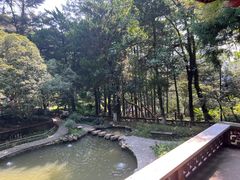 -莫干山风景区