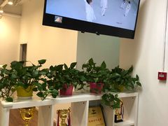 -苍轩跆拳道馆(望京店)