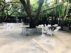 -TrueLove @ Neverland (Husky Cafe)