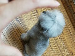 大堂-志龙皇冠吃货椰子铺