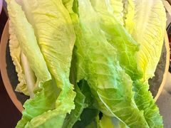 内叶罗马生菜-重八牛府(花乡奥莱店)