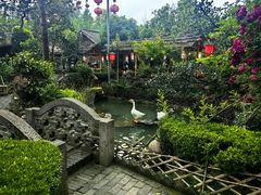 -青城甲(青城山店)