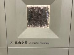 -中国茶叶博物馆(双峰馆区)