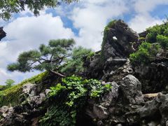 -何园