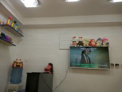 -恐龙·美甲美睫