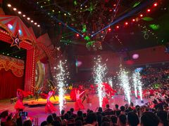 -珠海横琴长隆《卡卡虎奇遇记》