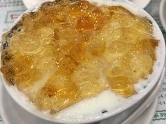 桃胶双皮奶-仁信老铺(华盖路店)