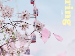 -顾村公园