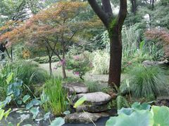 -南山植物园