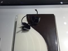 -BLACKSWAN黑天鹅(环球店)