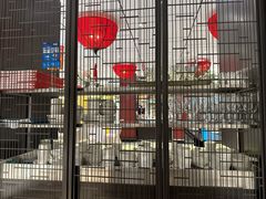 -眉州东坡(民族园店)