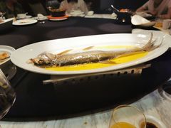 鸡汁长江白鱼-A One Kitchen·南京精菜馆(德基广场店)