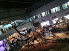 -自贡恐龙博物馆