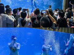 -左海海底世界