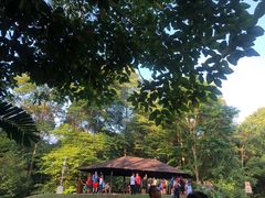 -武吉知马自然保护区