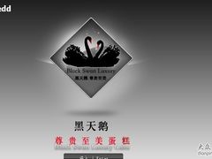 -BLACKSWAN黑天鹅(环球店)