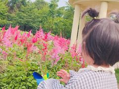 -南山植物园