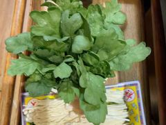 -芦月轩羊蝎子(劲松店)