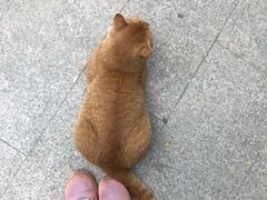 -广州雕塑公园