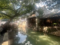 -乌镇东栅景区