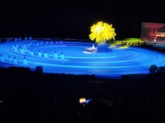 -鼎盛王朝康熙大典实景演出