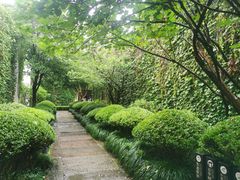 -渌洋湖湿地公园
