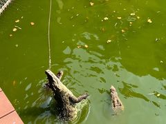 -石家庄市动物园