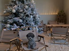 -J Create城市露营咖啡·简餐·宠物(上海动物园店)