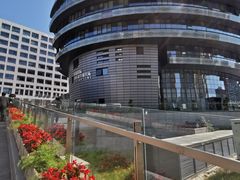 -首都医科大学宣武医院
