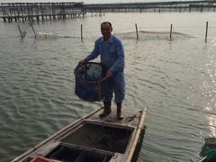 -乡乐园蟹庄·阳澄湖农家乐