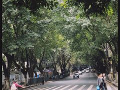 -南山植物园