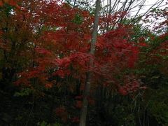 -丹东天桥沟景区