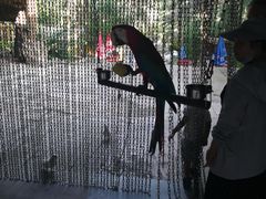 -燕塞湖鸟语林景区