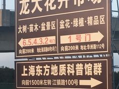 -龙大花卉苗木市场