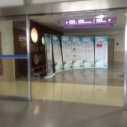 -上海交通大学医学院附属上海儿童医学中心(陆家嘴总院区)