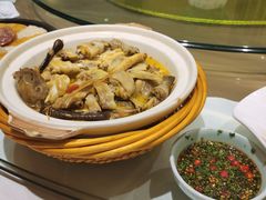 椒麻土鸡-小厨娘淮扬菜(板桥一店)