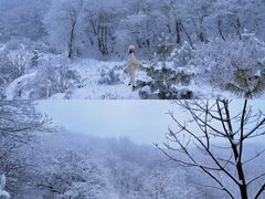 -嘉陵江源头景区
