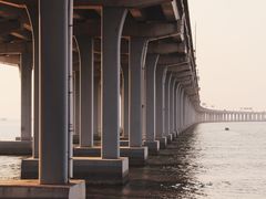 -宝安西湾红树林湿地公园