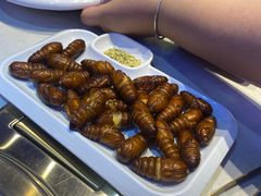 -杨记齐齐哈尔烤肉(总店)