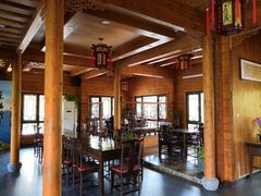 -合肥滨湖国家森林公园