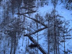 -北极村旅游风景区
