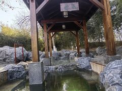 -和园景逸大酒店朗月汤泉